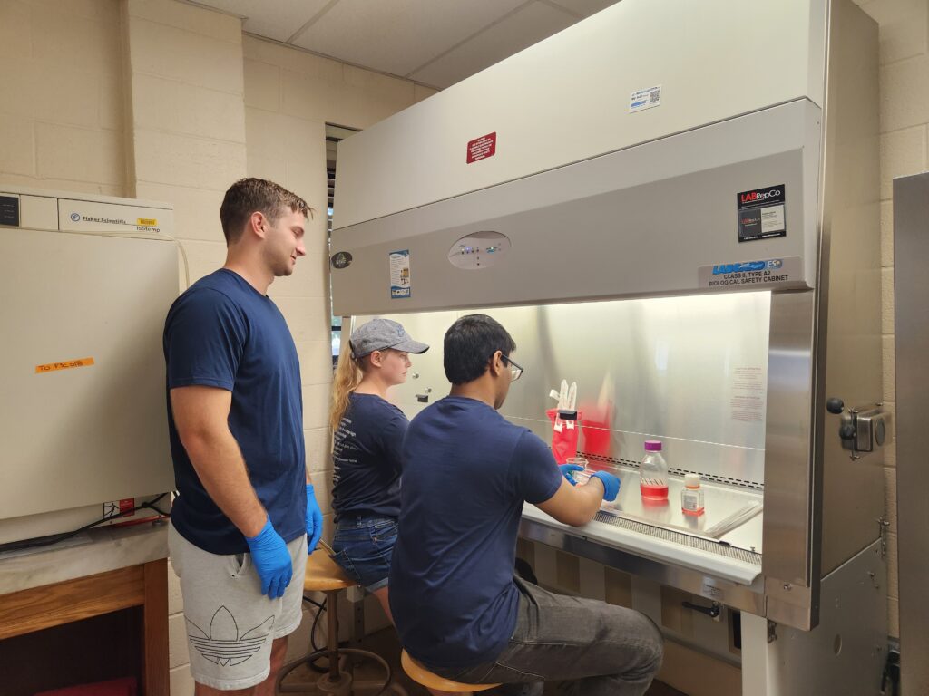 Shippensburg students conduct complex research through SURE Grants