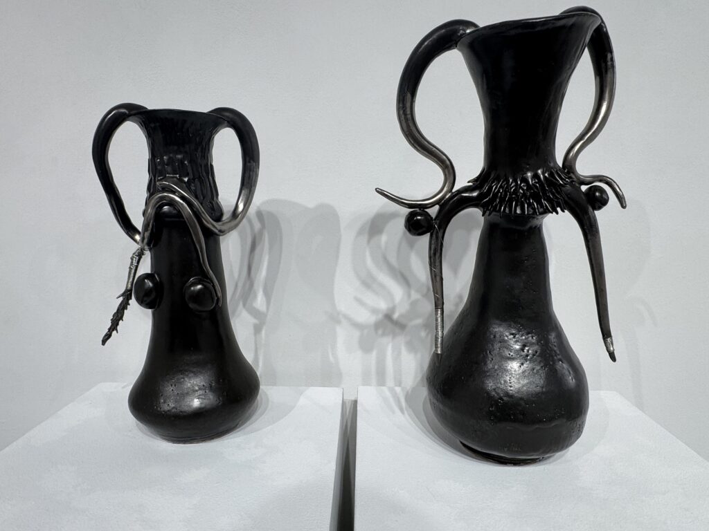 Shippensburg University Showcases Fall 2025 Senior Art Exhibit - Zoe Nowell