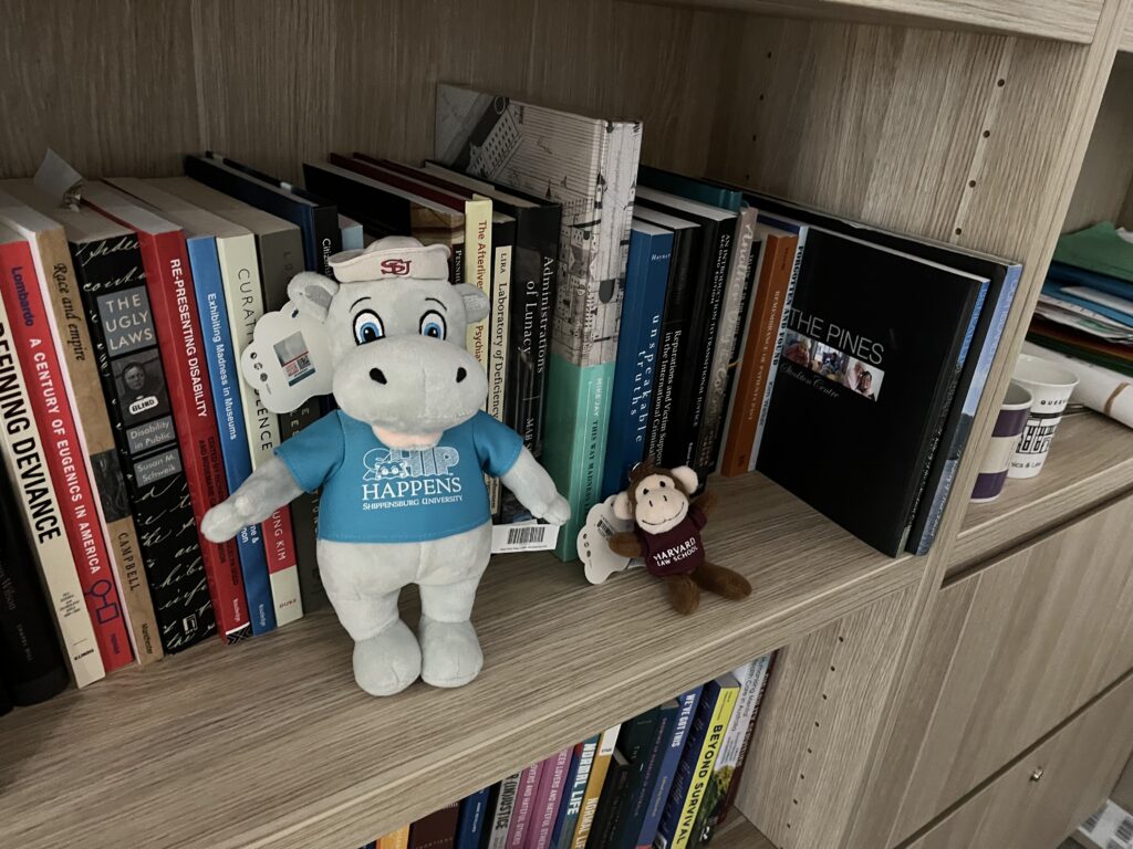 IMG_6084 Dr. Allison Carey examines parent activism and institutional harm at University of Technology Sydney; Shippo the Hippo on Linda Steele's bookshelf!